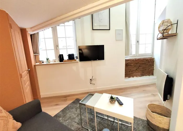 Le Lanternier - Hypercentre Les Quais - Netflix Apartment